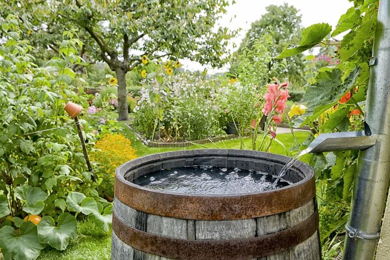 How To Save Water In The Yard